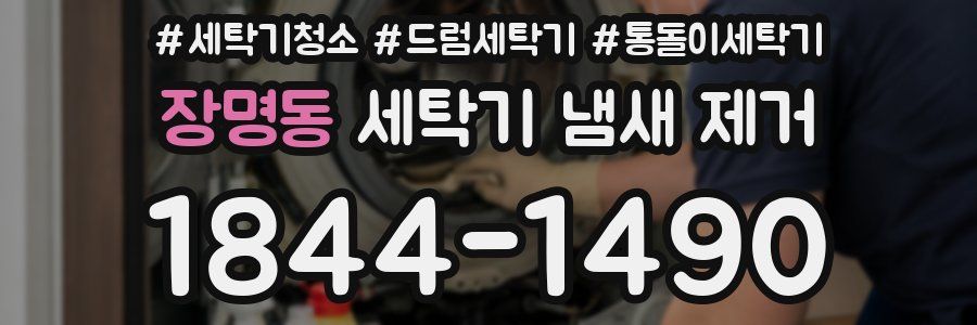 장명동 세탁기 냄새 제거
