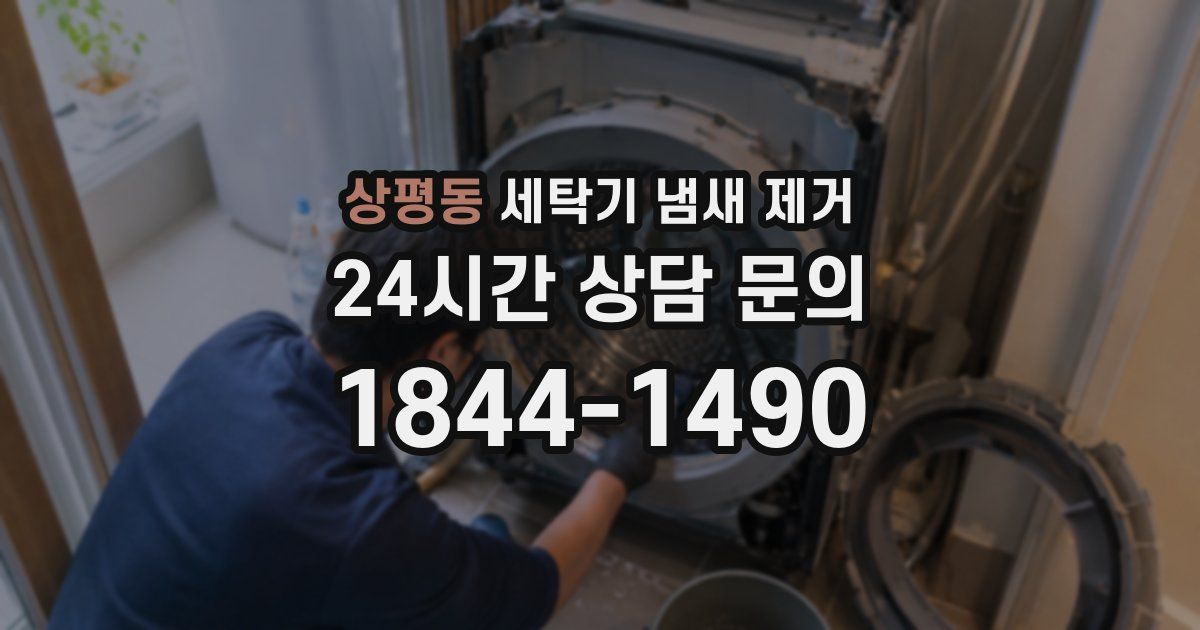 상평동 세탁기 냄새 제거