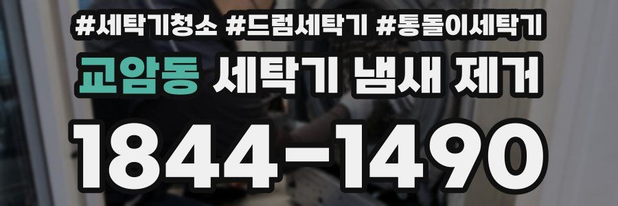 교암동 세탁기 냄새 제거