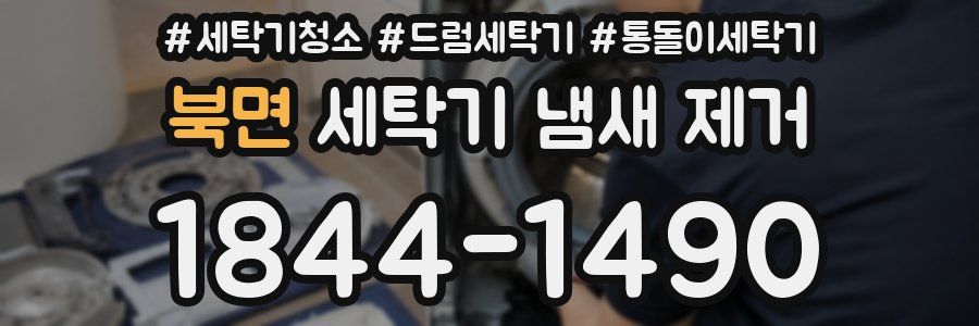 북면 세탁기 냄새 제거