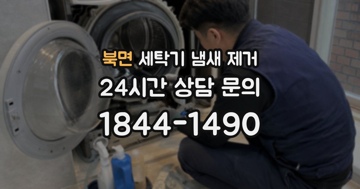 북면 세탁기 냄새 제거