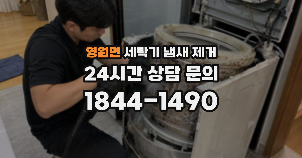 영원면 세탁기 냄새 제거