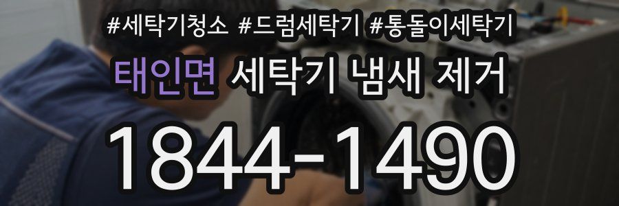 태인면 세탁기 냄새 제거