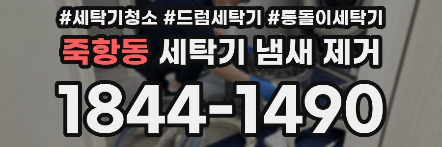 죽항동 세탁기 냄새 제거