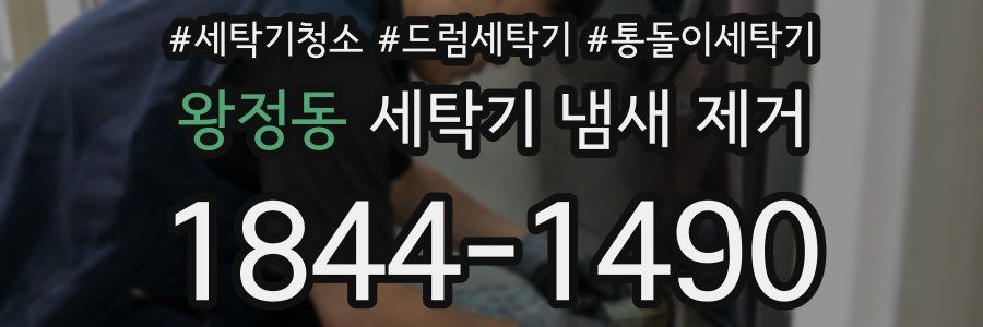 왕정동 세탁기 냄새 제거