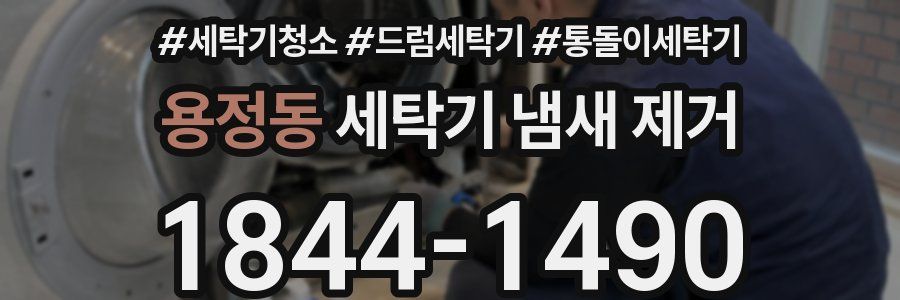 용정동 세탁기 냄새 제거