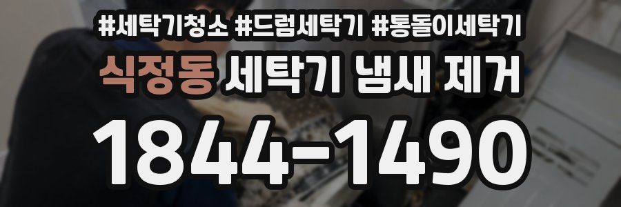 식정동 세탁기 냄새 제거