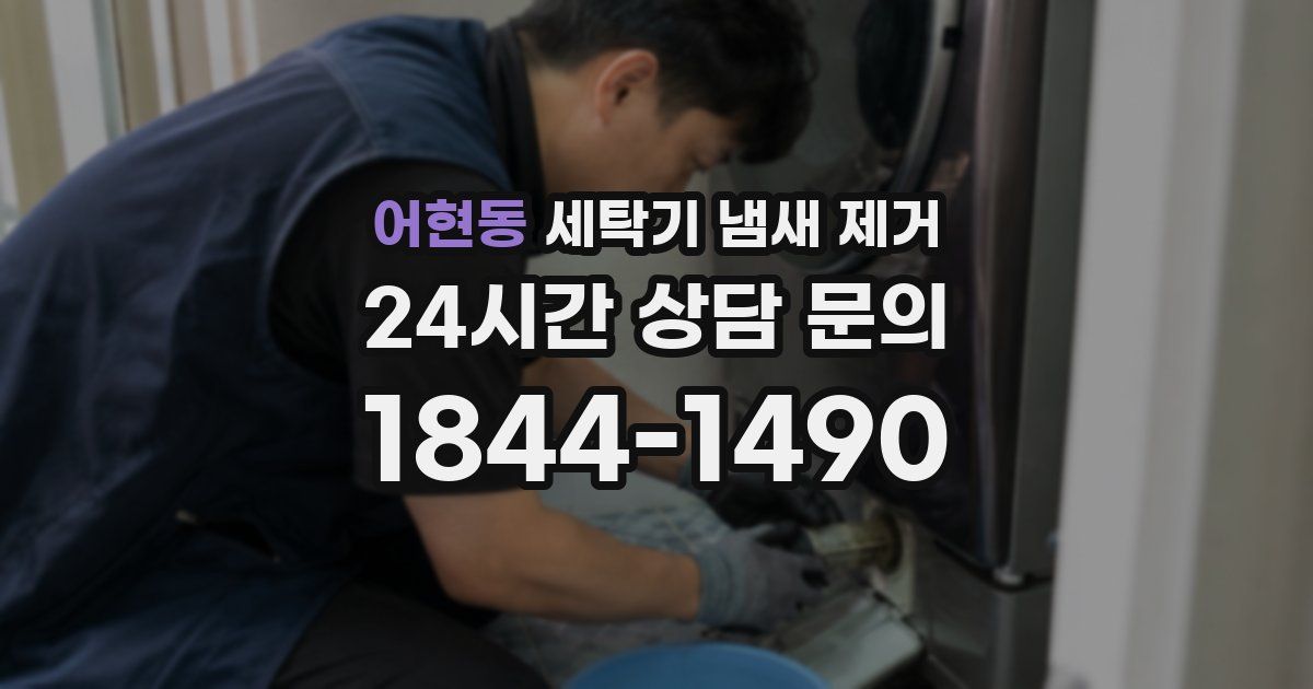 어현동 세탁기 냄새 제거