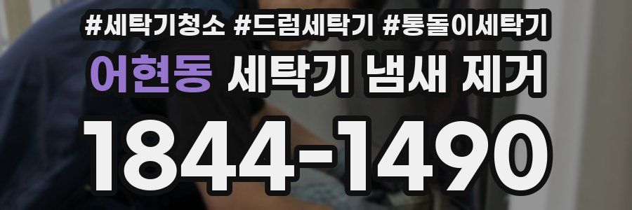 어현동 세탁기 냄새 제거