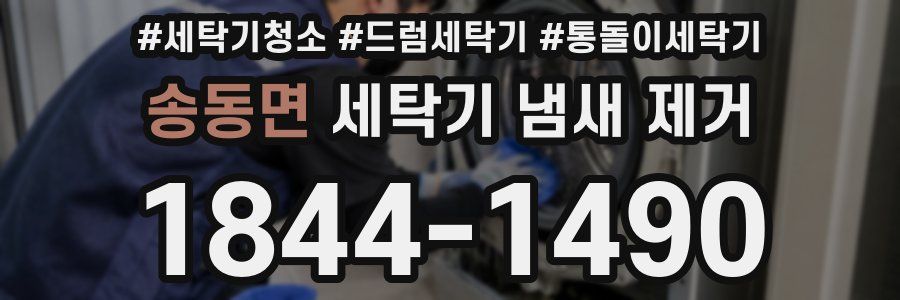 송동면 세탁기 냄새 제거