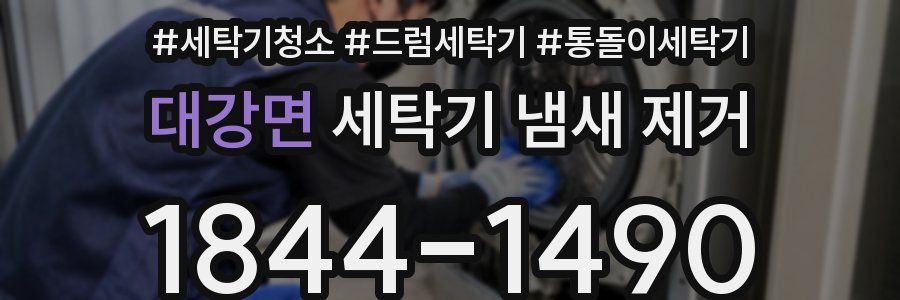 대강면 세탁기 냄새 제거