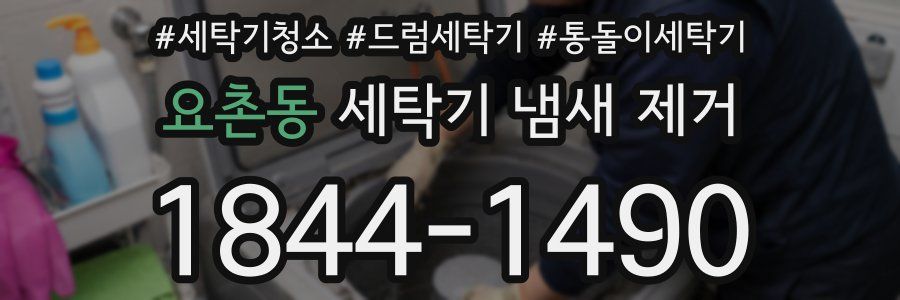 요촌동 세탁기 냄새 제거