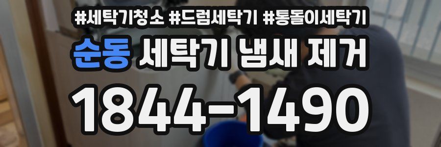 순동 세탁기 냄새 제거