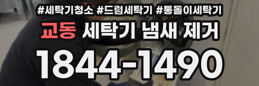 교동 세탁기 냄새 제거