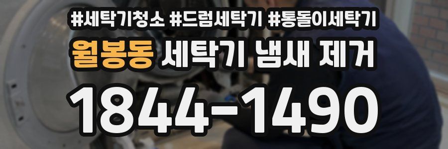월봉동 세탁기 냄새 제거