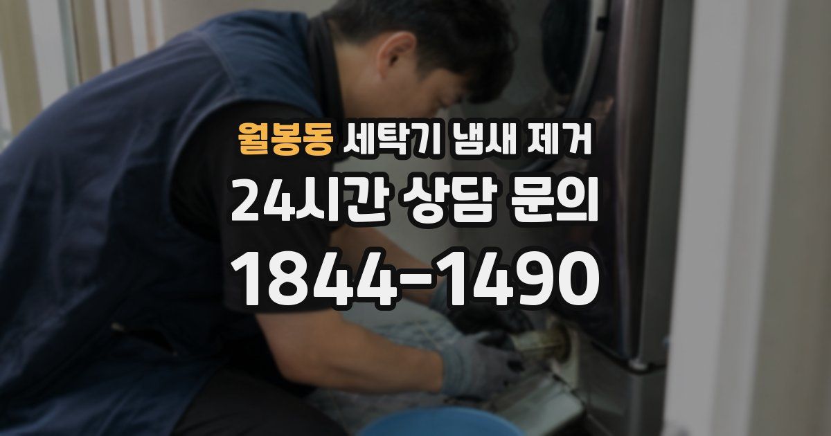 월봉동 세탁기 냄새 제거