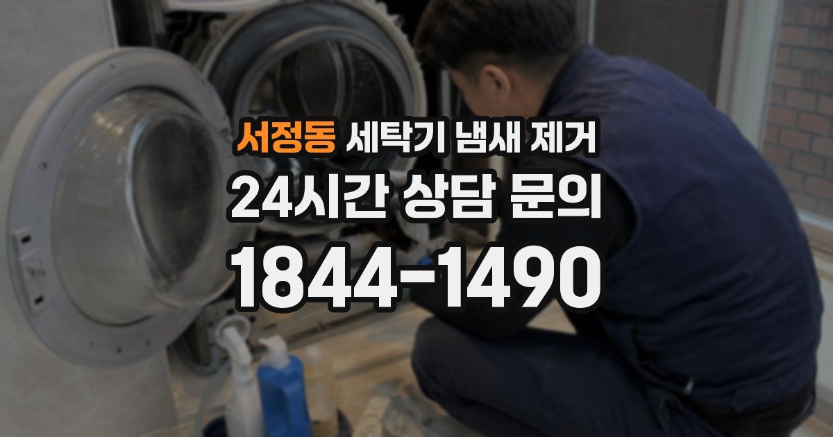 서정동 세탁기 냄새 제거