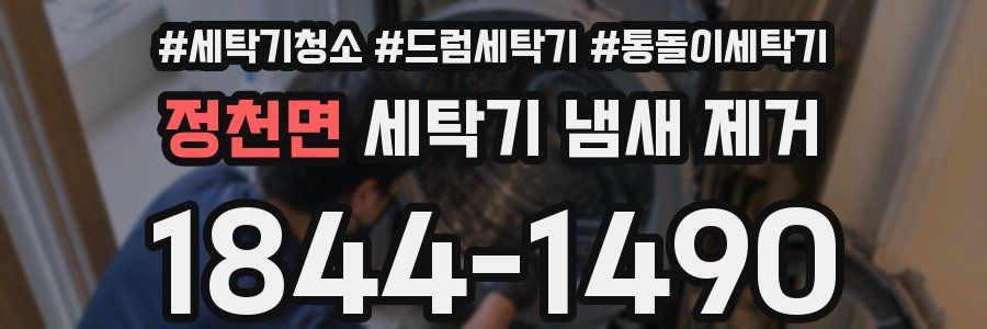 정천면 세탁기 냄새 제거