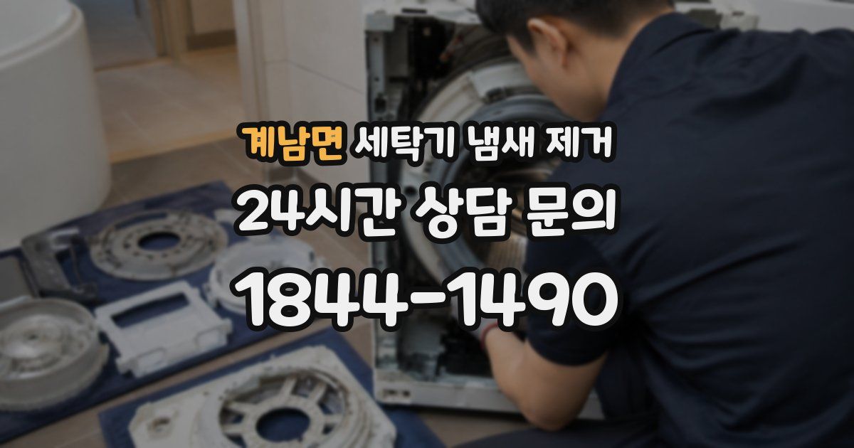 계남면 세탁기 냄새 제거