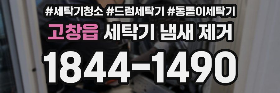 고창읍 세탁기 냄새 제거