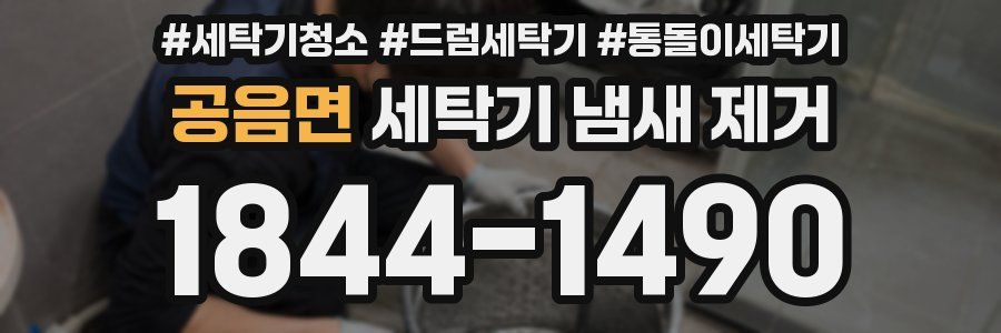 공음면 세탁기 냄새 제거