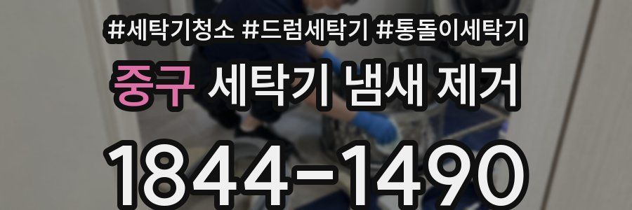 중구 세탁기 냄새 제거