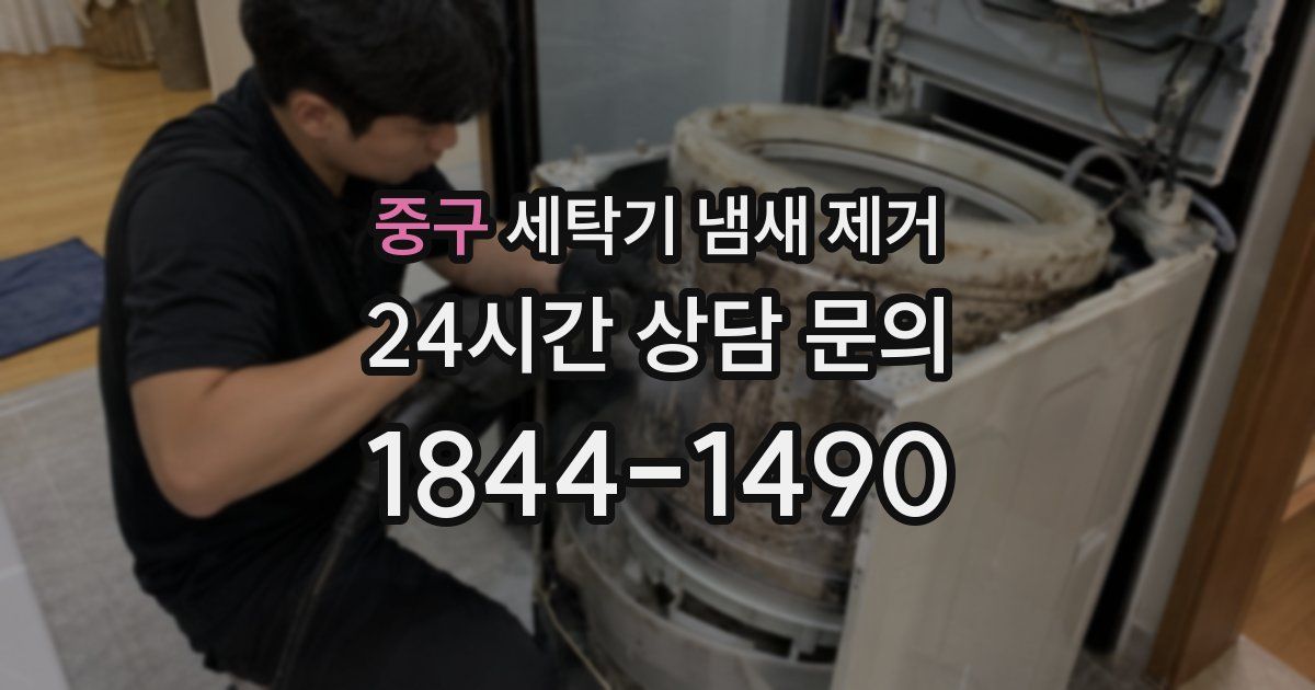 중구 세탁기 냄새 제거