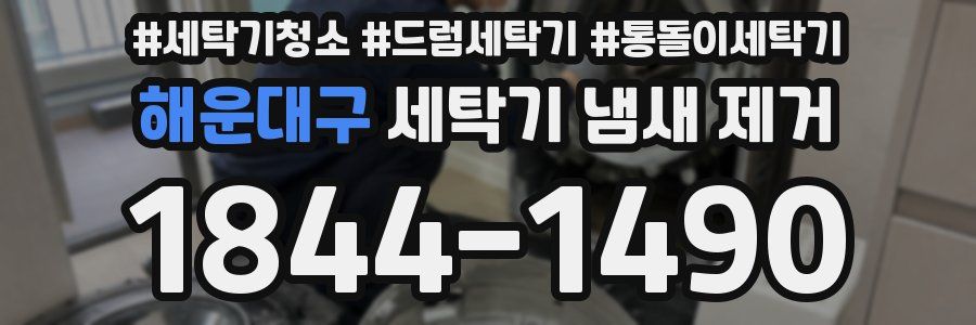 해운대구 세탁기 냄새 제거