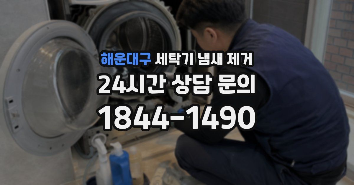 해운대구 세탁기 냄새 제거