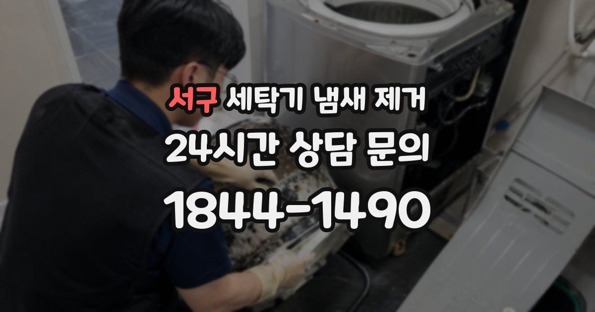 서구 세탁기 냄새 제거