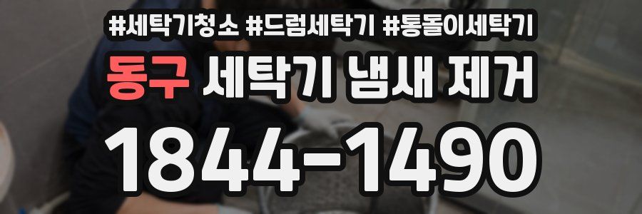 동구 세탁기 냄새 제거