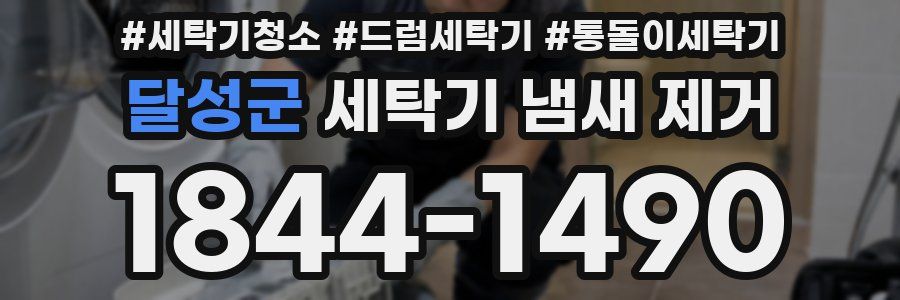 달성군 세탁기 냄새 제거