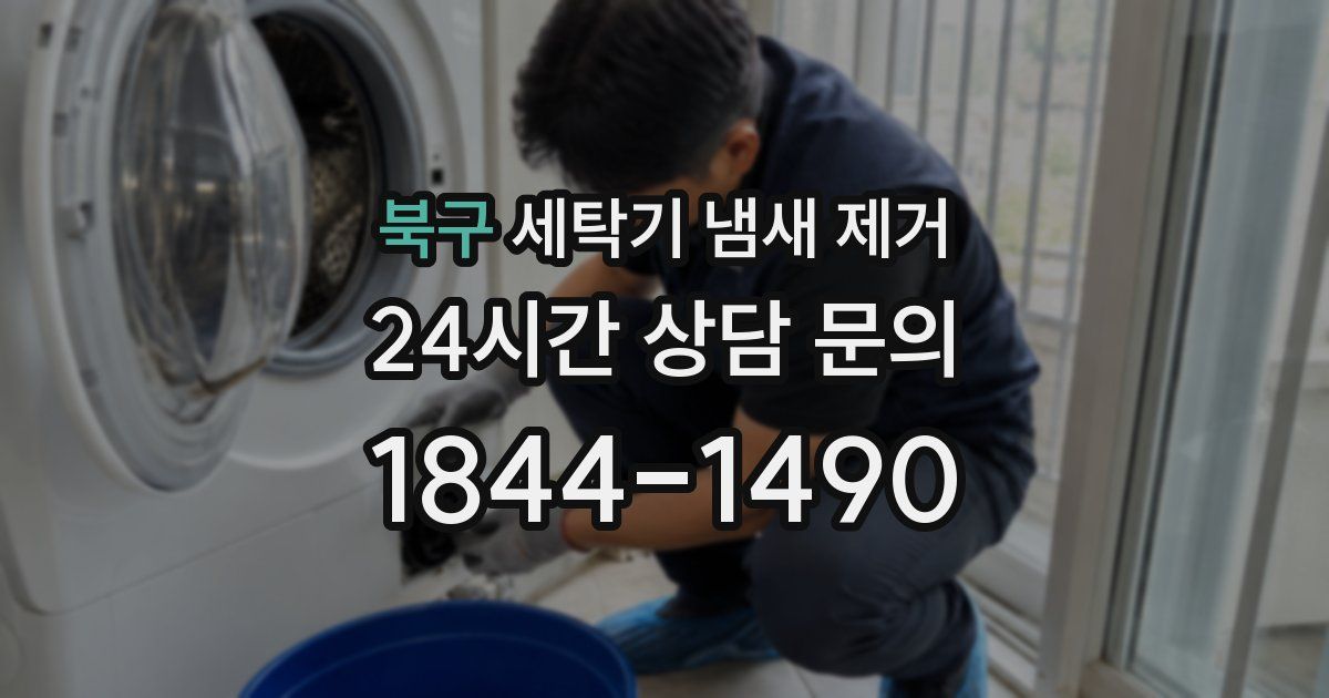 북구 세탁기 냄새 제거