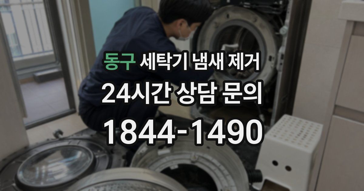동구 세탁기 냄새 제거