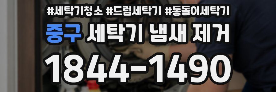 중구 세탁기 냄새 제거