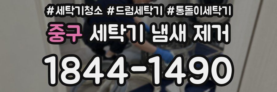 중구 세탁기 냄새 제거