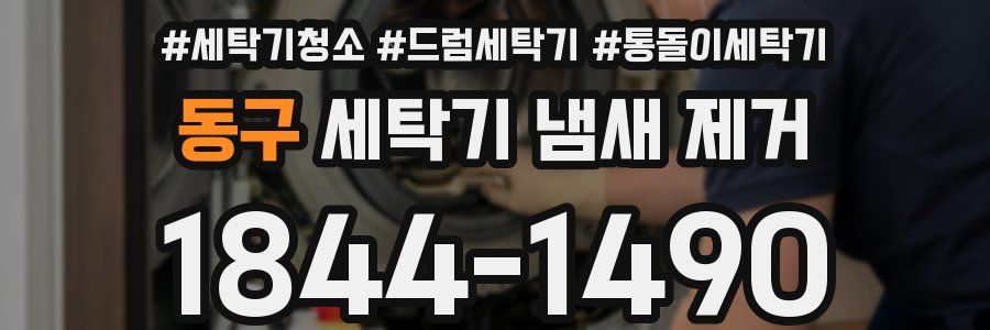 동구 세탁기 냄새 제거