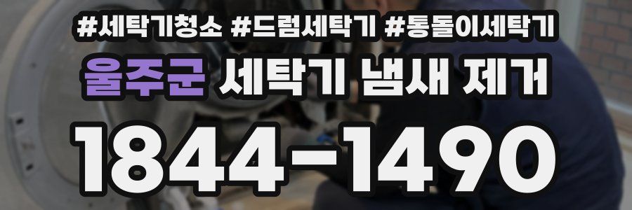 울주군 세탁기 냄새 제거