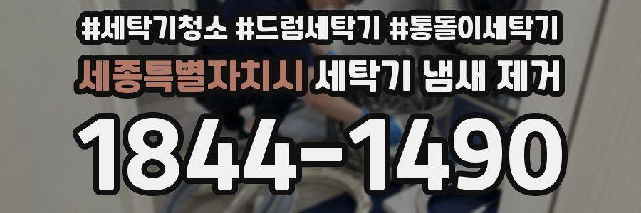 세종특별자치시 세탁기 냄새 제거