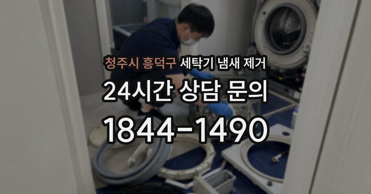 청주시 흥덕구 세탁기 냄새 제거