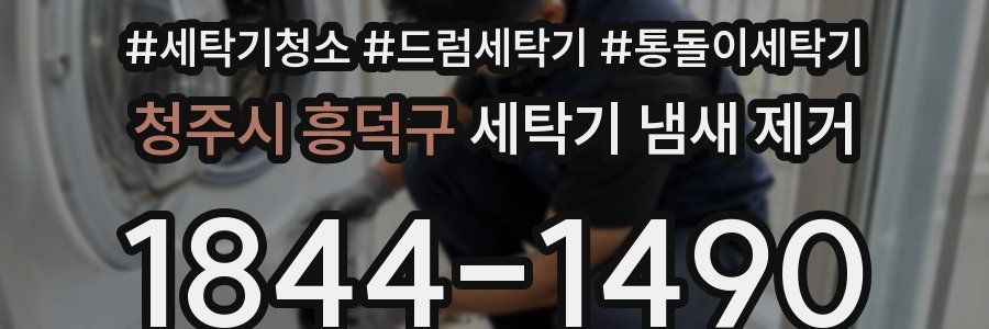 청주시 흥덕구 세탁기 냄새 제거