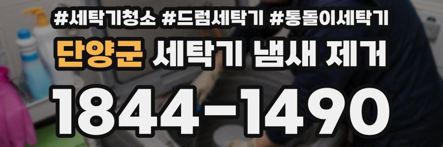 단양군 세탁기 냄새 제거