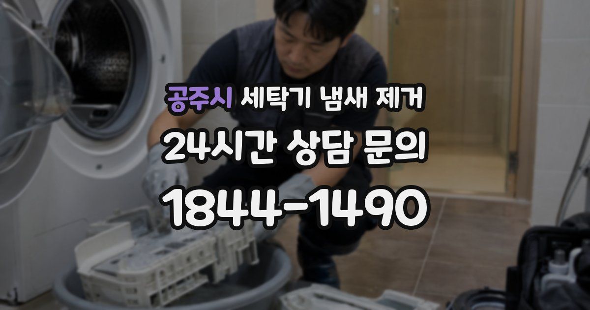 공주시 세탁기 냄새 제거
