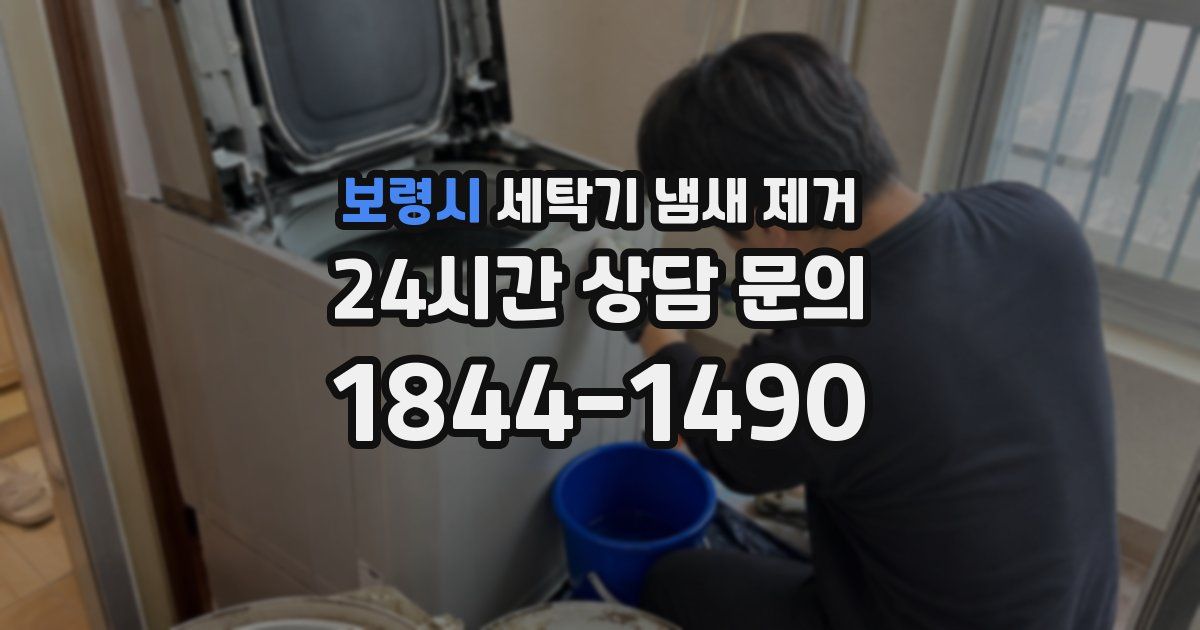 보령시 세탁기 냄새 제거