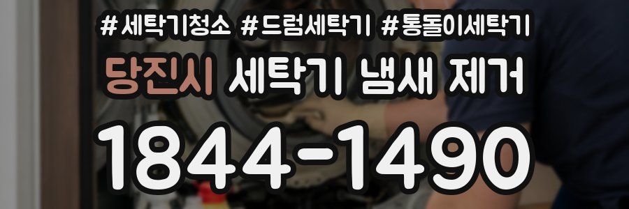 당진시 세탁기 냄새 제거