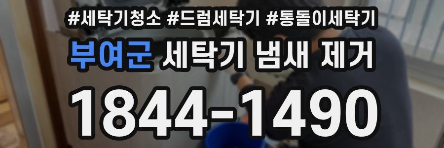 부여군 세탁기 냄새 제거
