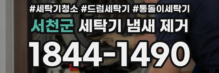 서천군 세탁기 냄새 제거