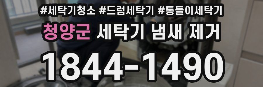 청양군 세탁기 냄새 제거