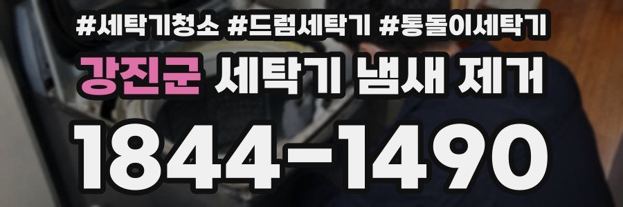 강진군 세탁기 냄새 제거