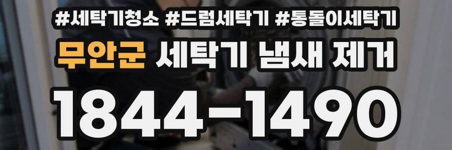 무안군 세탁기 냄새 제거